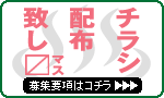フライヤー募集要項